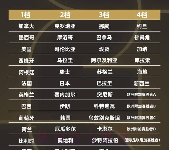 2026世界杯排名怎么看